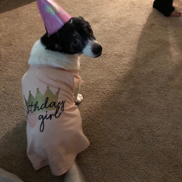 Meet your Posher, Asantilu & Fam. - Picture 6 of 9